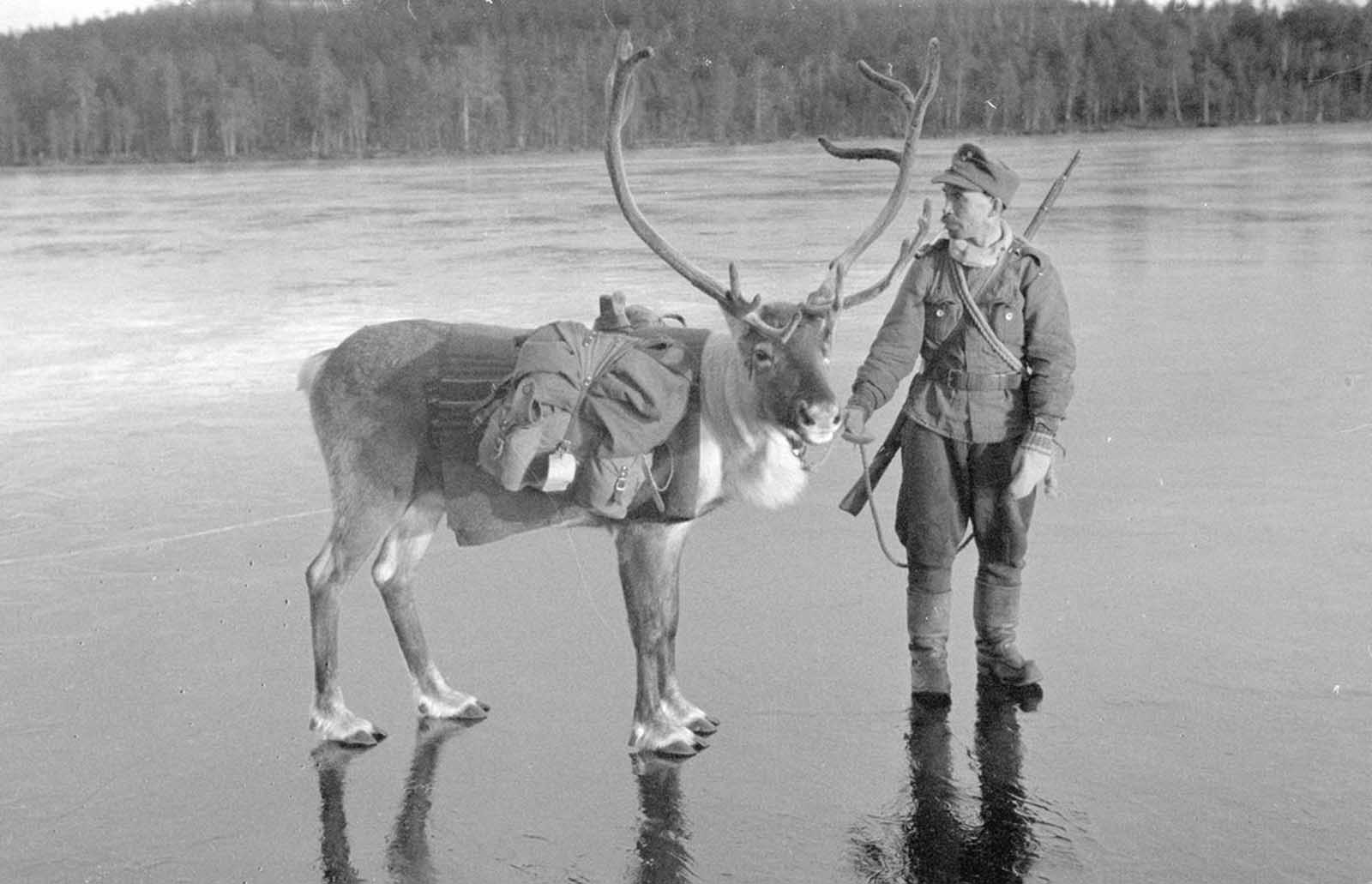 The amazing story of Finland in World War II through rare photographs, 1939-1945